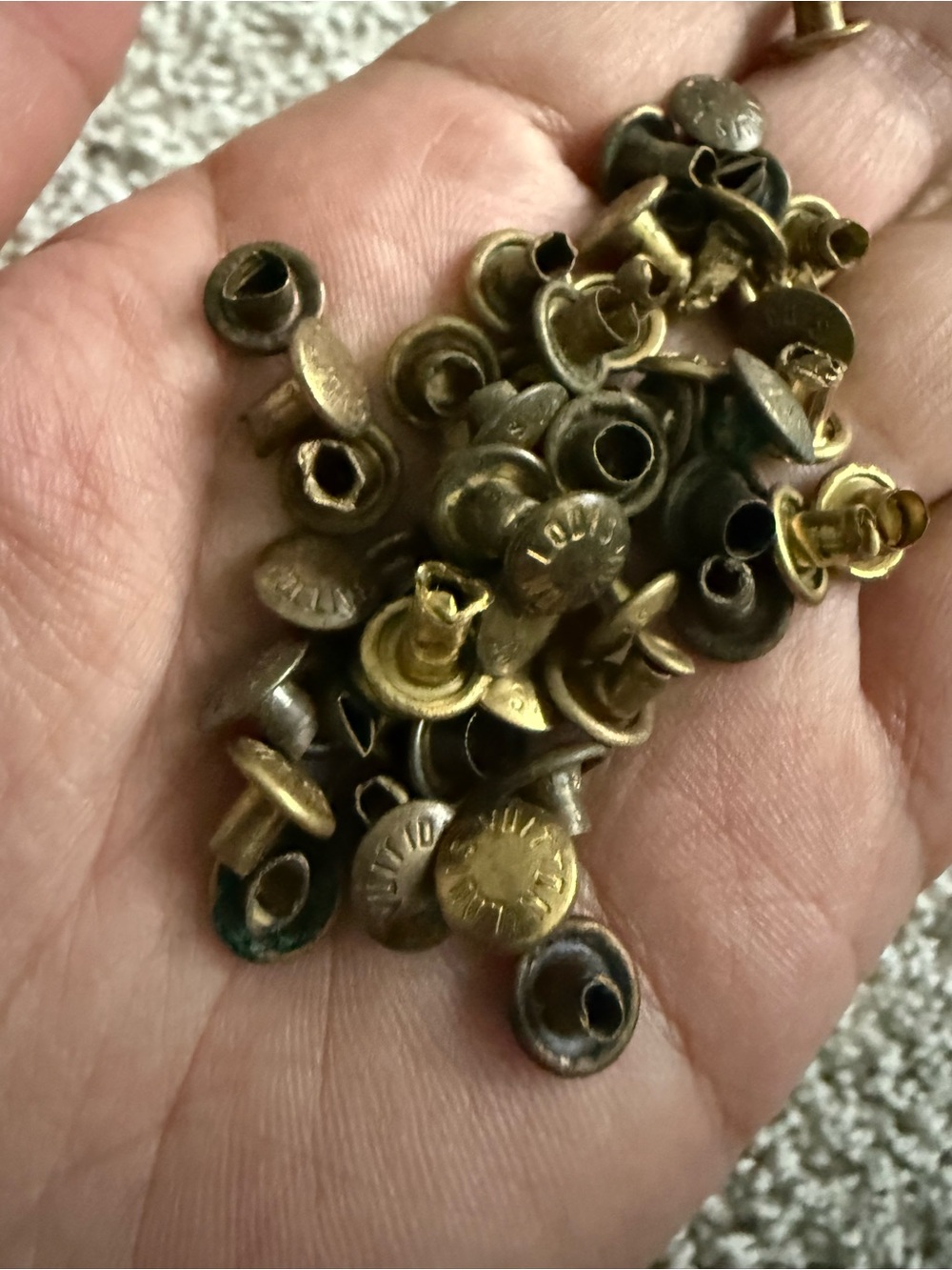Louis Vuitton rivets and Brass Hardware